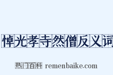 悼光孝寺然僧反义词是什么意思的图片